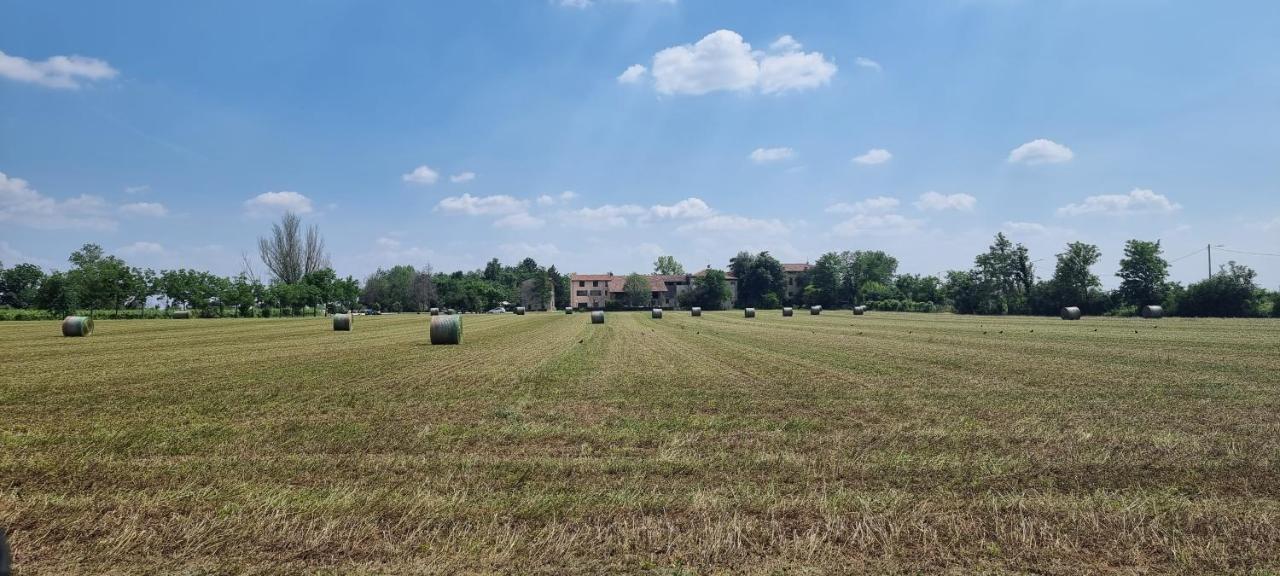 Agriturismo Alle Albare Montorio Veronese Exterior photo